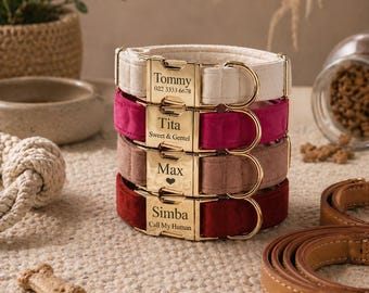 Collar de terciopelo personalizado para perro, placa con nombre grabada, hebilla dorada, accesorio de lujo para mascotas.