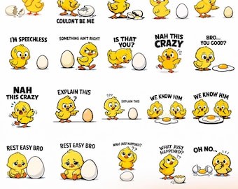 Funny Chicken  Meme Png Svg Bundle, Funny Broken Egg Quotes (Digital download)