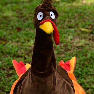 May include: A plush turkey costume with a brown head, a yellow beak, and a red wattle. The costume has large white-eyed circles and a brown body with an orange and red skirt. The costume is designed for a child.