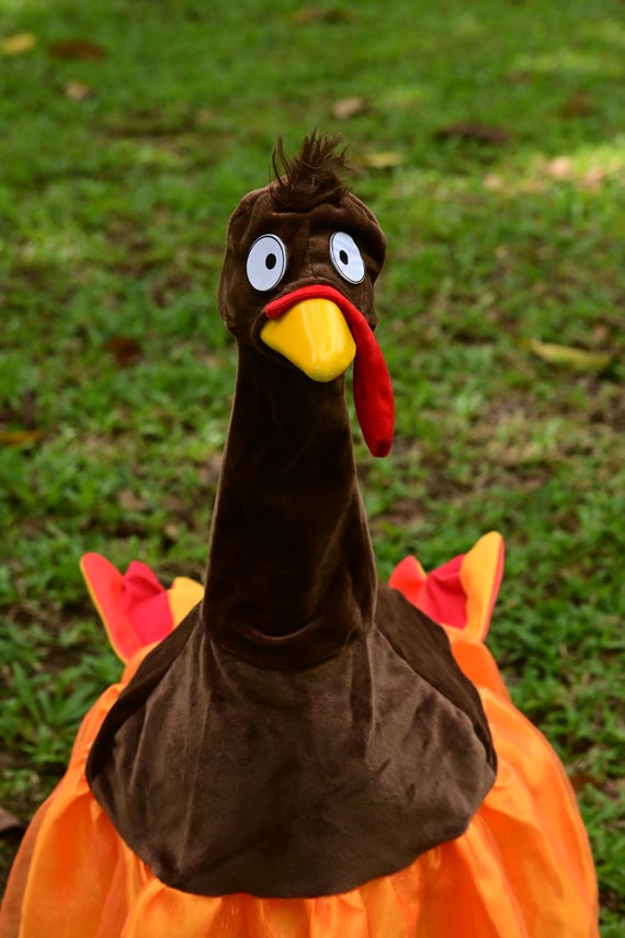 Thanksgiving Turkey Porch Goose Outfit | 23 Inch Lawn Goose Costume | Fall Harvest Yard Decor | Turkey Headpiece & Skirt Set