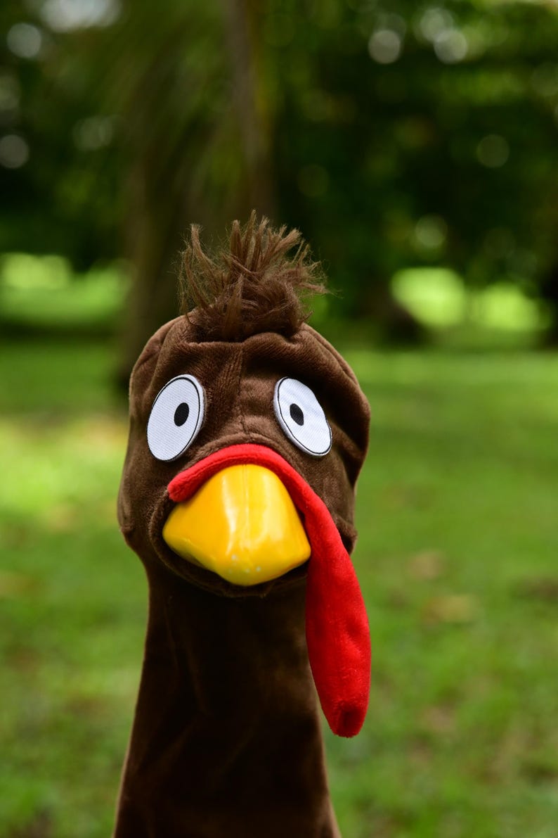 May include: A brown turkey head plush toy with large white-rimmed eyes, a yellow beak, and a red wattle. The plush has a tuft of brown feathers on top. The background is blurred green foliage.