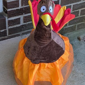 May include: A plush Thanksgiving turkey decoration. The turkey has a brown body and head with a yellow beak and red wattle. The tail feathers are red and yellow. The turkey is sitting on a ruffled orange skirt.