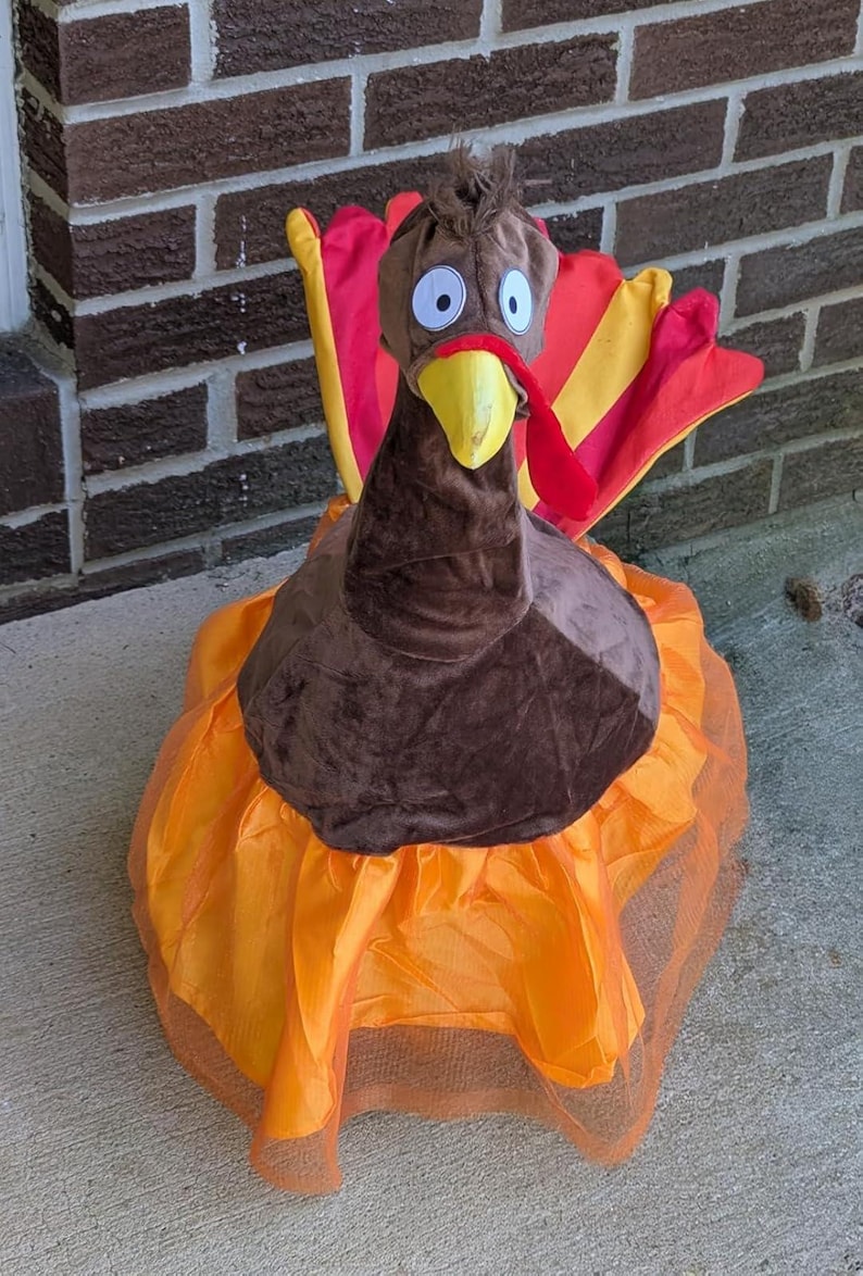 May include: A plush Thanksgiving turkey decoration. The turkey has a brown body and head with a yellow beak and red wattle. The tail feathers are red and yellow. The turkey is sitting on a ruffled orange skirt.