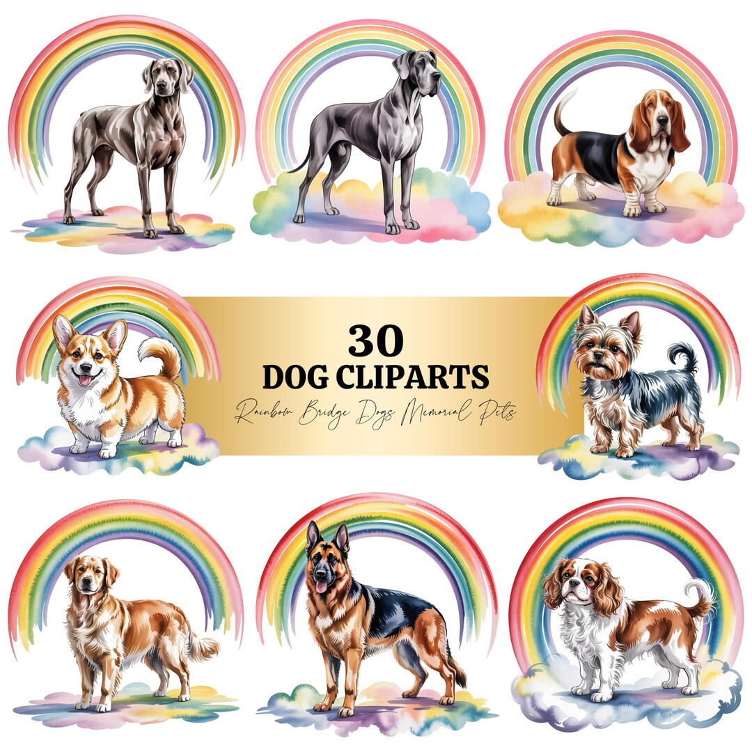 30 Rainbow Bridge Dogs Memorial Pets Clipart | Watercolor Dog Art ...