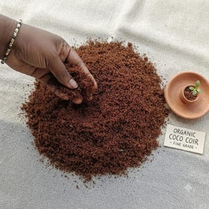 Puede incluir: Un montón de fibra de coco orgánica de grado fino. Un pequeño plato de terracota contiene una diminuta plántula verde. Un letrero rectangular blanco con texto negro dice ORGANIC COCO COIR - FINE GRADE. La textura es fibrosa y suelta.