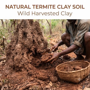 Natural Termite Clay Soil | Wild Harvested Clay for Pottery, Sculpture & Ceramic Art