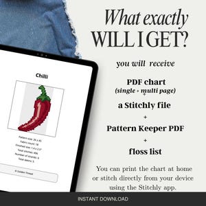 May include: A digital cross-stitch pattern displayed on a tablet screen. The pattern features a red chili pepper with a green stem. The text on the screen details the pattern size, fabric count, and finished size. The image also includes the text "What exactly WILL I GET?" and "INSTANT DOWNLOAD."
