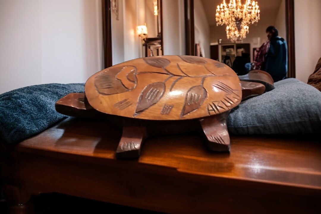 Box Turtle Shell Decorations Vintage Wood Turtle Trinket Box, Tortoise Wood Removable Shell, Storage ...
