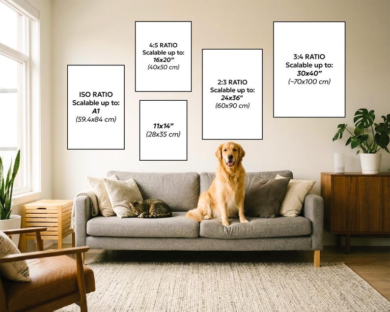 K&ouml;nnte beinhalten: Ein Wohnzimmer mit grauem Sofa, Kissen, einem Golden Retriever und einer Katze. &Uuml;ber dem Sofa gerahmte Kunstdrucke mit Gr&ouml;&szlig;enverh&auml;ltnissen: 4:5, 2:3, 3:4, ISO und 28x35 cm.