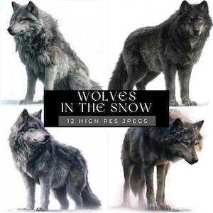May include: Four images of wolves in various poses against a white background. The wolves have gray and black fur. The text "WOLVES IN THE SNOW" and "12 HIGH RES JPEGS" is displayed on a black rectangle.