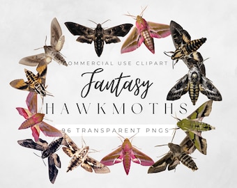 Fantasy HawkMoths - 96 Macabre Transparent PNGs