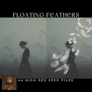 Puede incluir: Obra de arte digital titulada "Floating Feathers" que presenta a una mujer con un vestido negro y plumas blancas flotando. La imagen tiene una paleta de colores suaves, con el texto "44 High Res JPEG Files".