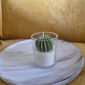 Succulent candle