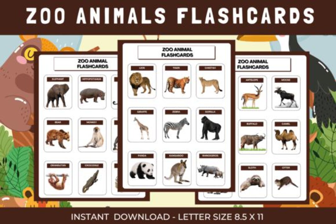 Montessori Zoo Animal Flashcards | Printable Learning Game (digital ...
