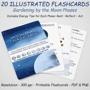 Pode incluir: Um conjunto de cartões flash com o título "20 Flashcards Ilustrados Jardinagem pelas Fases da Lua". O cartão superior é azul com um design de céu estrelado e as palavras "Flashcards da Fase da Lua". Inclui dicas de energia para cada fase.