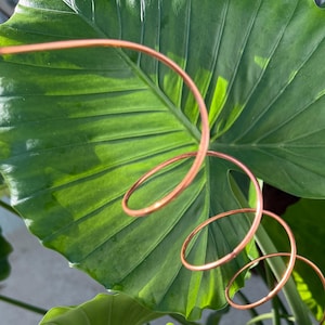 May include: A close-up of a large, green leaf with a copper-colored, spiral-shaped plant support. The support is made of thin metal and is designed to help plants grow. The leaf has prominent veins and a smooth surface.