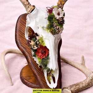 May include: A white deer skull mounted on a wooden plaque, adorned with dried flowers, moss, and pinecones. The antlers are a light brown color. A business card with the text "Critter Done & Dipped" is at the base.
