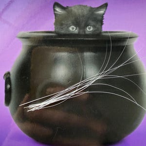 May include: A black kitten peeks out from a black cauldron. The cauldron has a rounded shape with a handle on the side. White wisps extend from the cauldron, set against a purple background. The kitten's eyes are visible.