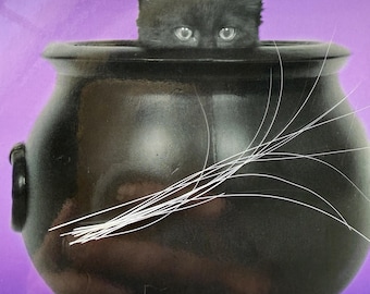 Ethically Sourced Cat Whiskers – Lucky Charm, Spiritual Supply