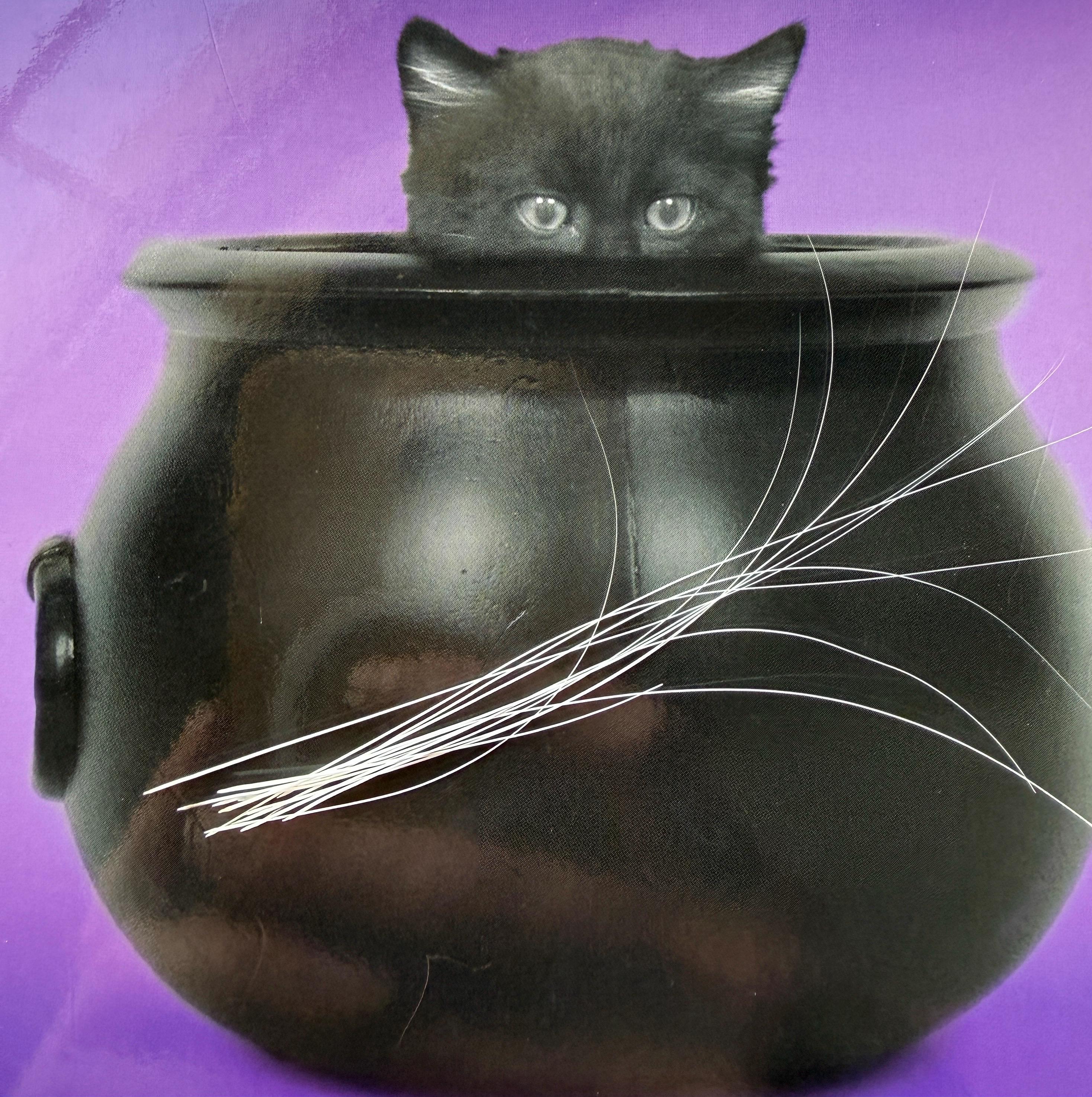 Real Cat Whiskers - Etsy