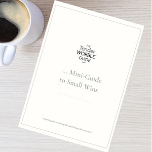 Tender Wobble Mini-Guide to Small Wins. Printable Gentle Reflection Guide. PDF