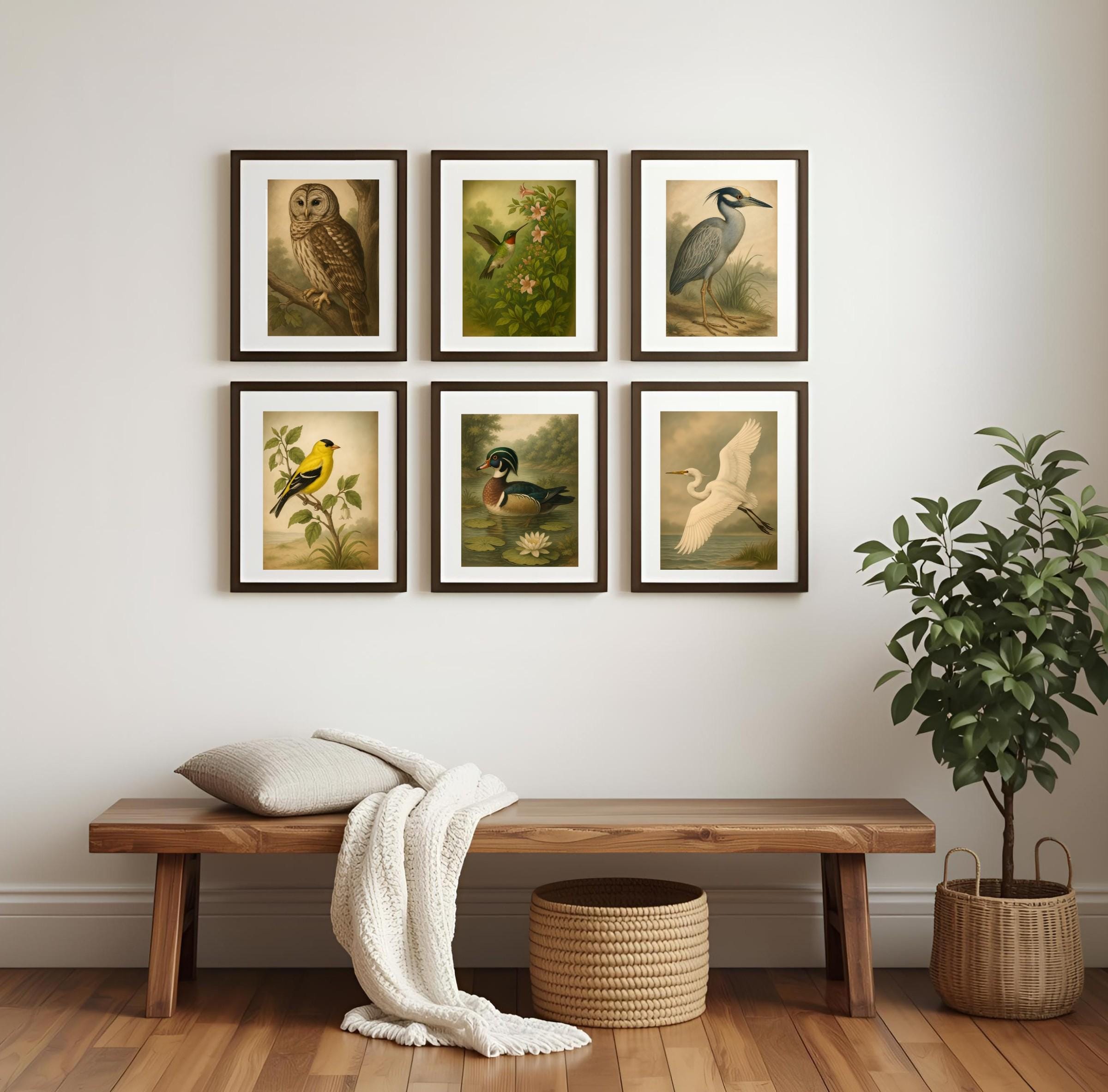 Vintage Bird Print Set: Naturalist Gallery Wall Art (digital Download ...