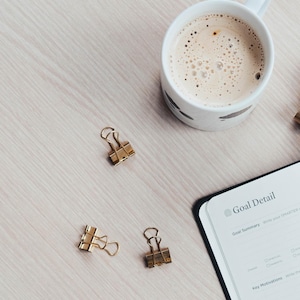 Editable Goal Planner Canva Template: Monthly & Annual Journal (Digital Download)