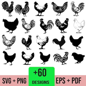 May include: A selection of rooster and hen designs in black and white. The image shows various illustrations of chickens, including silhouettes and detailed drawings. Text on the image reads "+60 DESIGNS" and "SVG + PNG EPS + PDF".