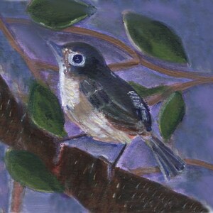 Vireo bird art card,  Blank inside