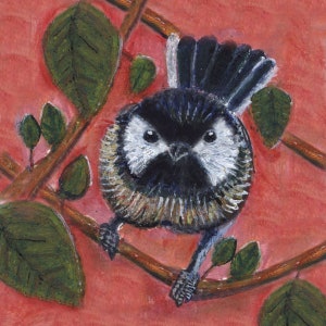 Chickadee bird art card,  Blank inside, greeting card, note card, backyard bird