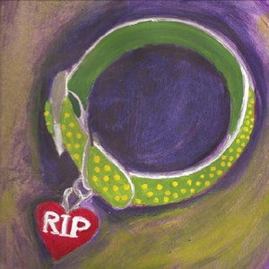 May include: A green and white dog collar with yellow polka dots and a red heart-shaped tag that says "RIP".