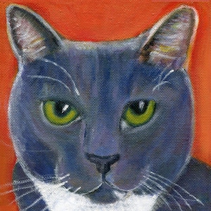 cat art, grey tuxedo kitty, blank 5&quot; x 5&quot; card, cat painting,