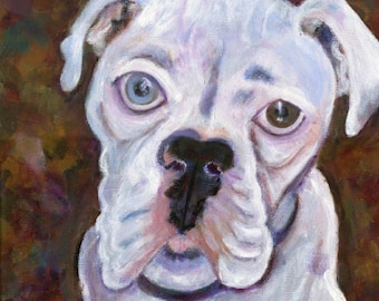 Dog art card, White Boxer, "Cooper," 5" x 5" blank card