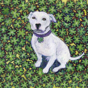 St. Paddy's Day,St. Patrick's Day, Pitbull card art, Pitbull with shamrocks image 2