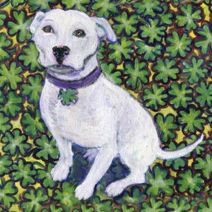 St. Paddy's Day,St. Patrick's Day, Pitbull card art, Pitbull with shamrocks image 1