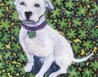 St. Paddy's Day,St. Patrick's Day,  Pitbull card art, Pitbull with shamrocks