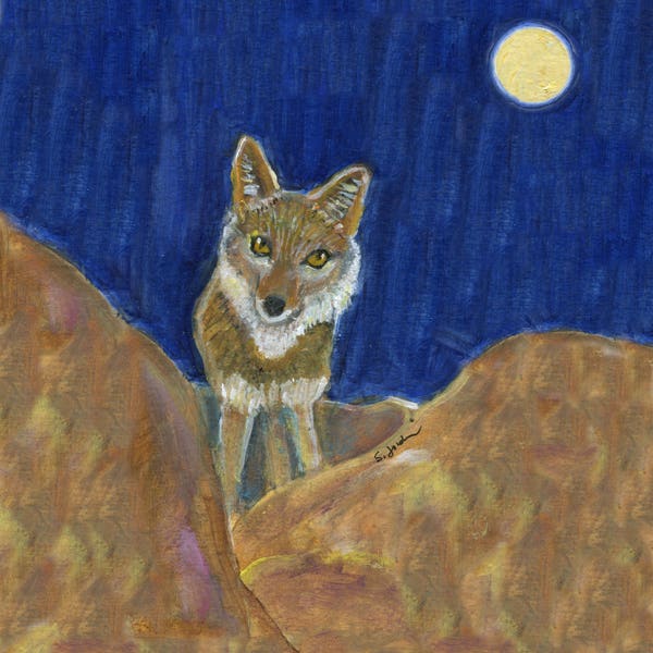 Coyote art card,   "Coyote in the hills," 5" x 5" blank art card
