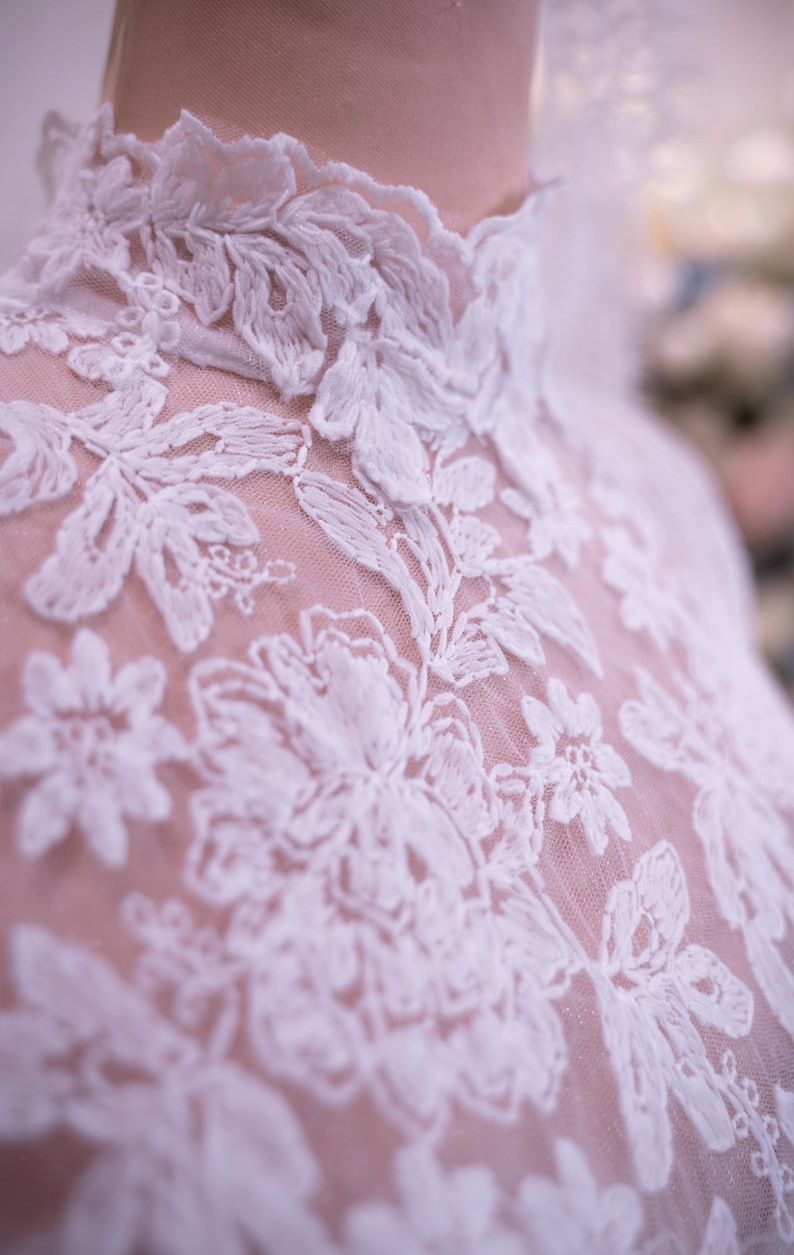 May include: A high-neck garment featuring intricate white floral embroidery layered over a sheer, light-colored mesh fabric. The design showcases detailed stitching patterns of leaves and blossoms that extend from the collar down the bodice.