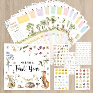 Baby Calendar First Year with Stickers, 12 Month Milestone Tracker