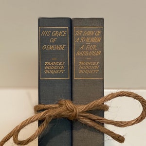 Frances Hodgson Burnett collectible, Set of 2,A Dawn of A To-Morrow,His Grace of Osmond,British Novelist,English Society,English nobility