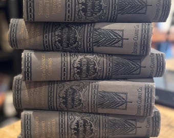 Antique WASHINGTON IRVING books,Belford-Clarke Co,late 19th century,early 20th century,collectible book
