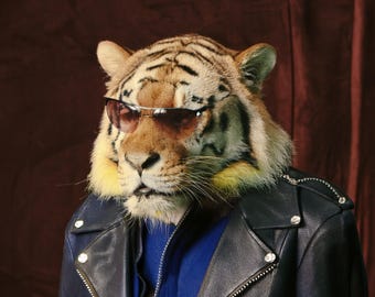 Peut inclure: Un tigre portant des lunettes de soleil et une veste en cuir noir avec des détails argentés. Le tigre porte une chemise bleue sous la veste. Le fond est de couleur marron foncé.