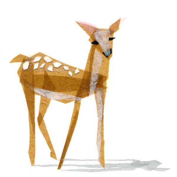 Edie Fawn - Animal Art Print