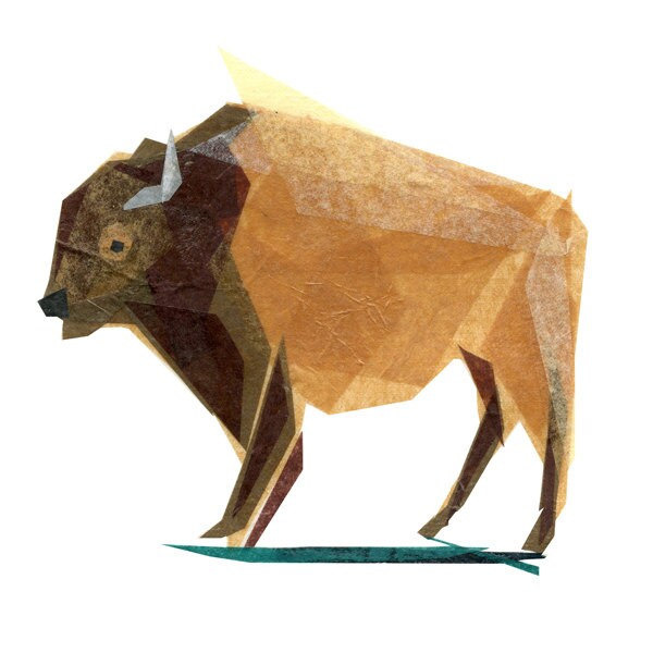 Jasper Buffalo - Buffalo Art Print, Buffalo Decor