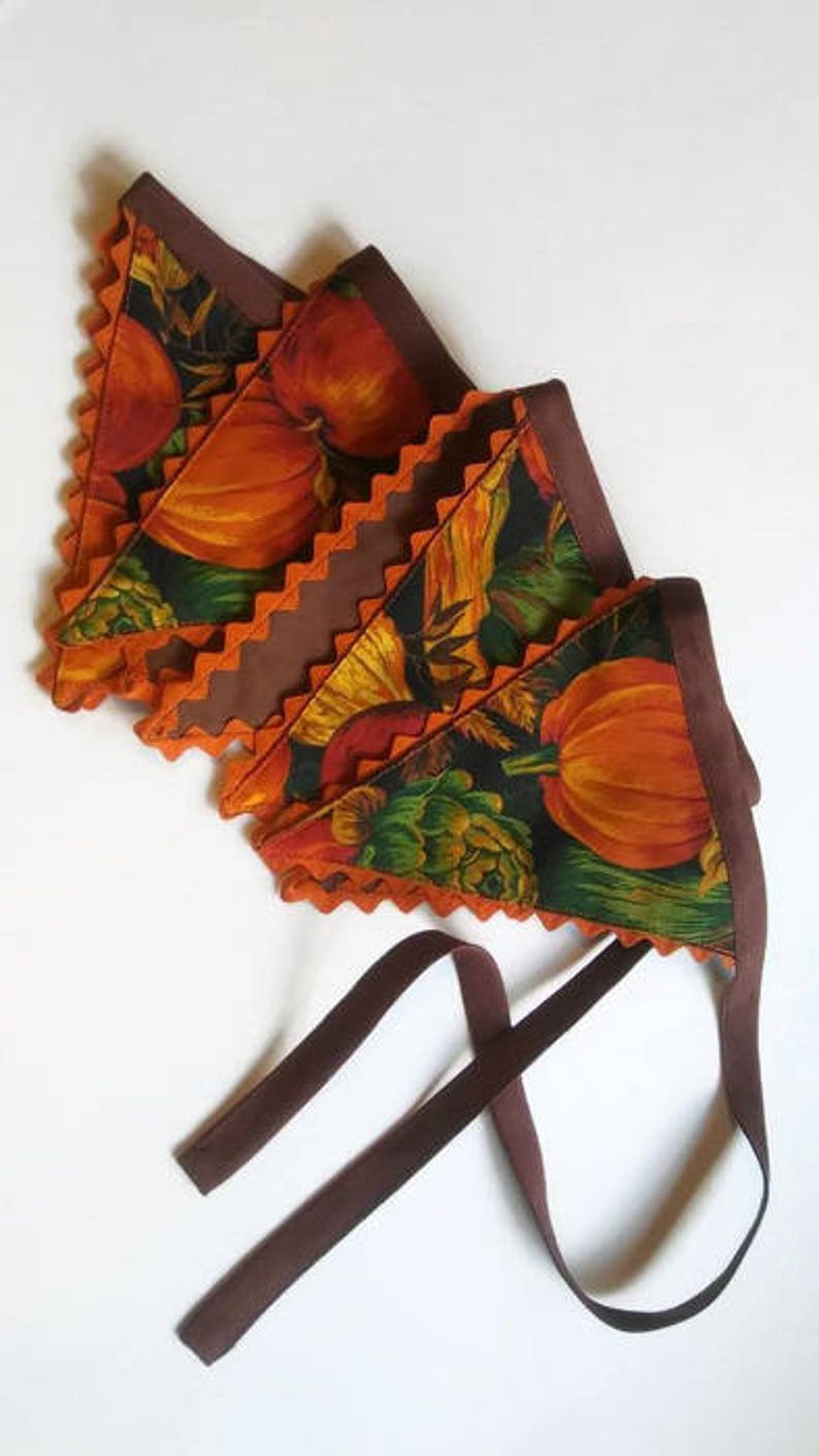 Fall Pennant Banner Pumpkin Bunting Harvest Autumn Fabric Etsy