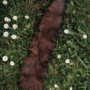 May include: A textured, dark brown leather piece lies on a bed of green grass, surrounded by small white daisies with yellow centers. The leather has a rough, organic shape.