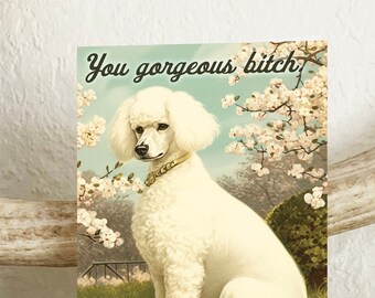 Funny Card with Poodle - You Gorgeous Bitch - Birthday Wedding Graduation Encouragement Cards