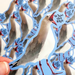 Funny Stickers - What the Shit Bird Sticker - Fun Seagull Decal for Water Bottle Laptop Car