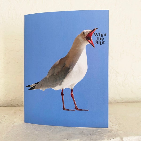 Funny Seagull Greeting Card Blue - What the Shit Bird - Blank Inside - Sympathy Miss You Birthday All Occasion Cards