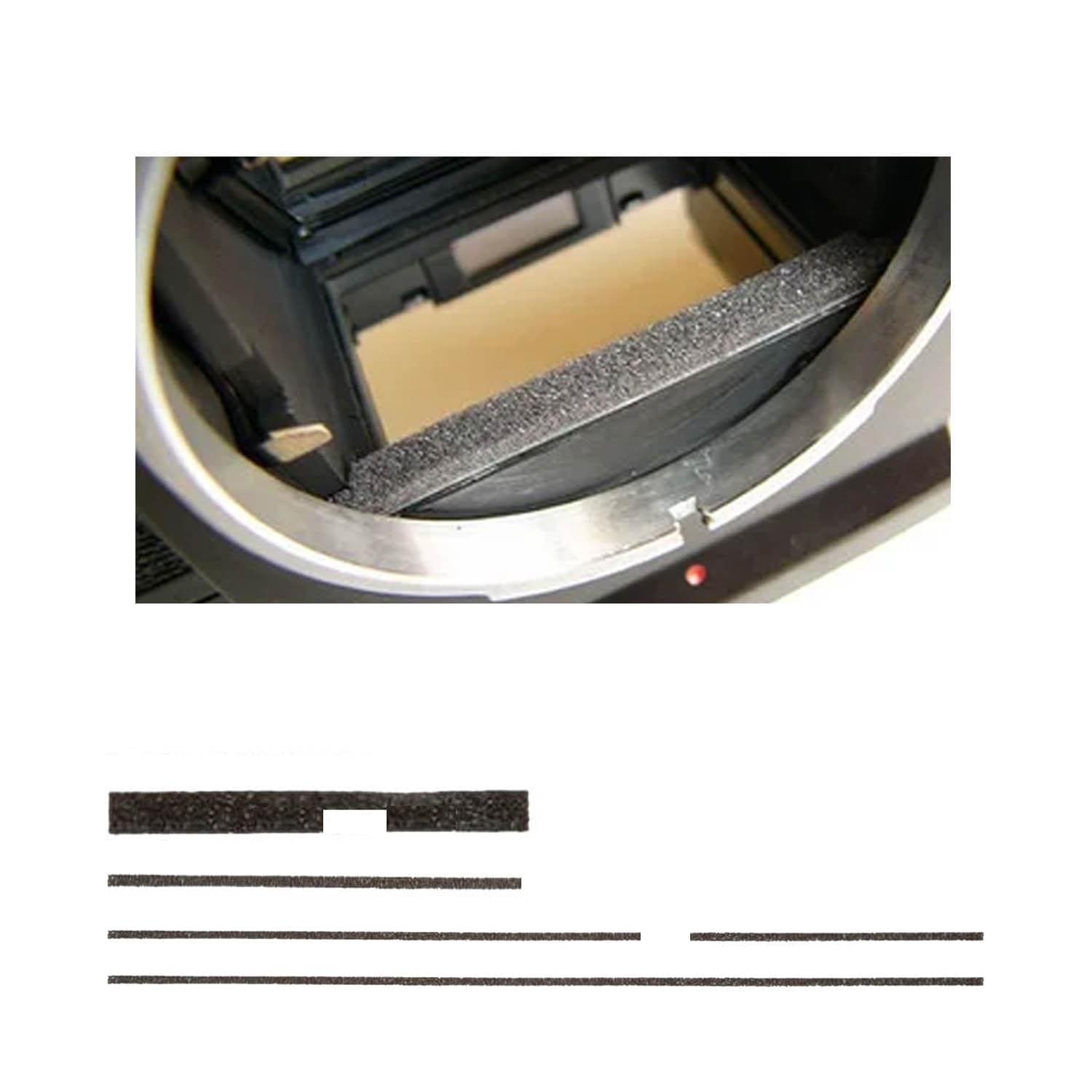 レアなOlympus XA2❣️5色セット ZGトレックGTX WMN(39 チタニウム): スカルパ | ロストアロー